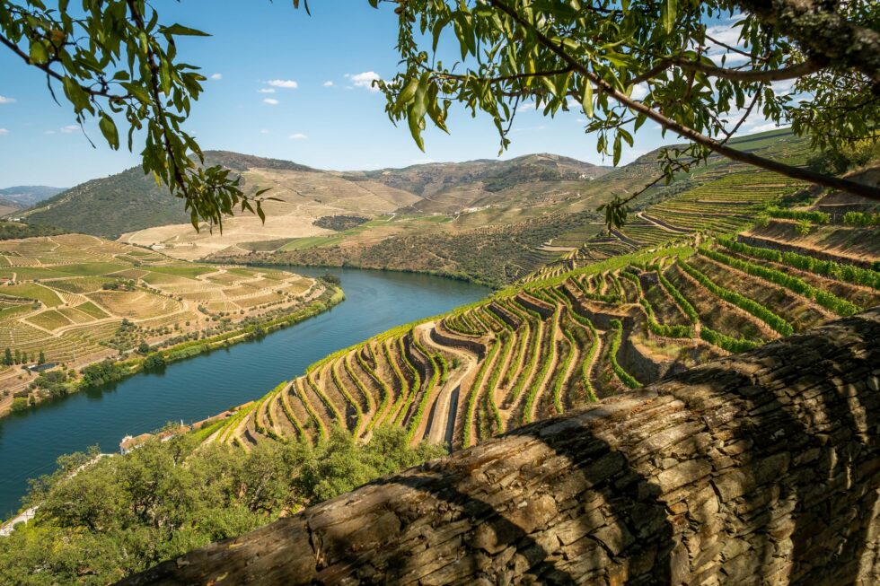 Douro – Cidade Europeia do Vinho em 2023