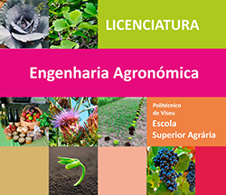 Oferta de Emprego – Técnico Agrícola