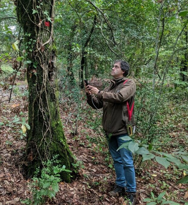 Docente da ESAV participa em estudo global